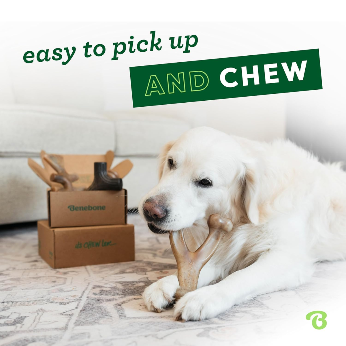 Durable Dog Chew Toys – 4-Pack, Dogs Under 60 lb