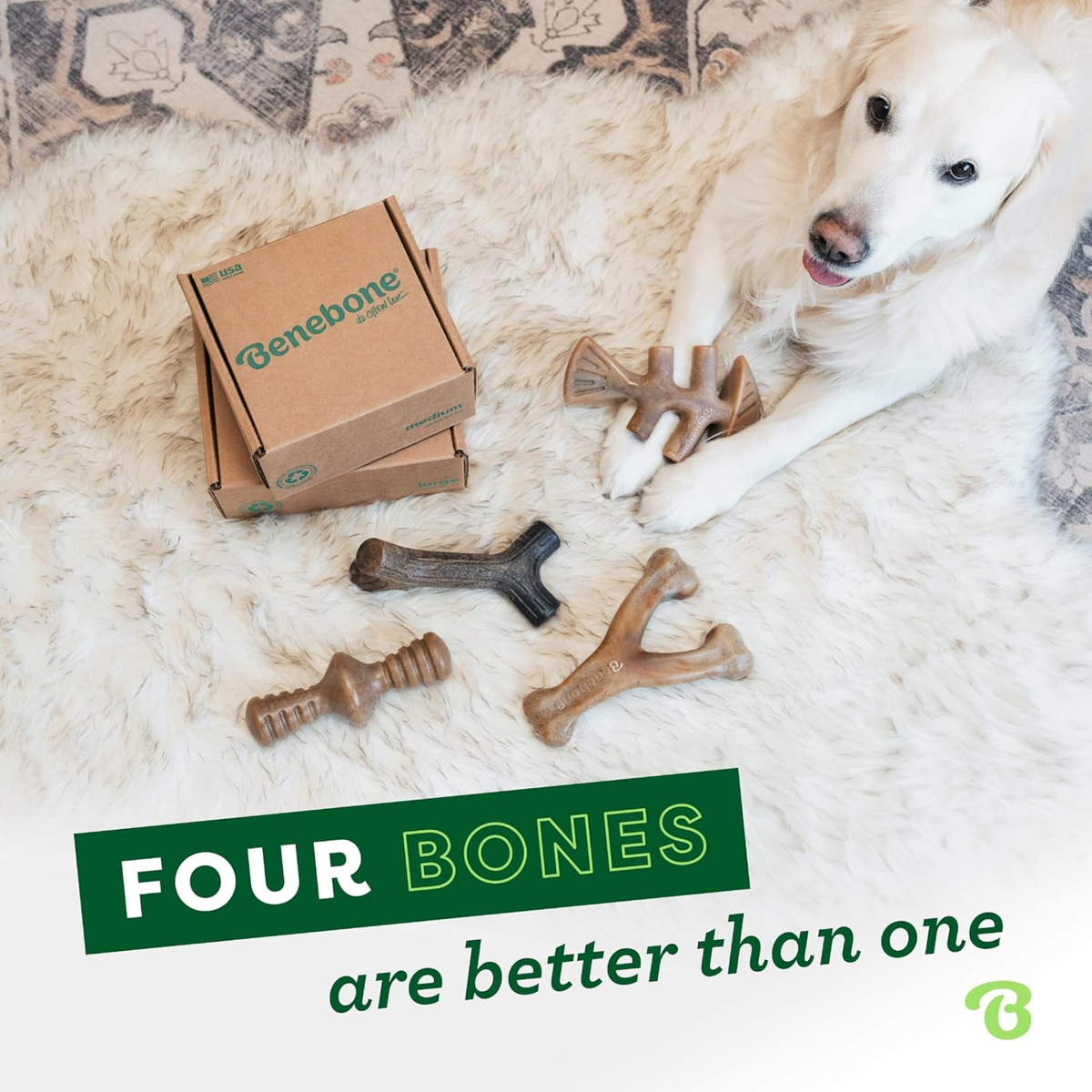 Durable Dog Chew Toys – 4-Pack, Dogs Under 60 lb