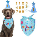 Dog Birthday Bandana and Party Hat Set