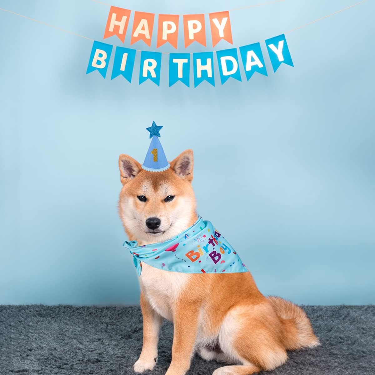 Dog Birthday Bandana and Party Hat Set