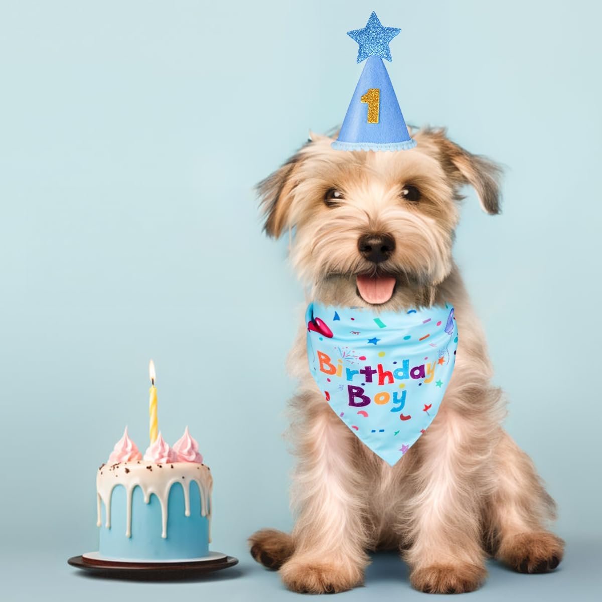 Dog Birthday Bandana and Party Hat Set
