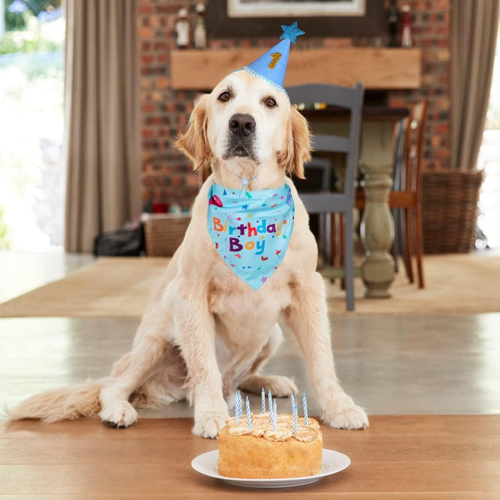 Dog Birthday Bandana and Party Hat Set