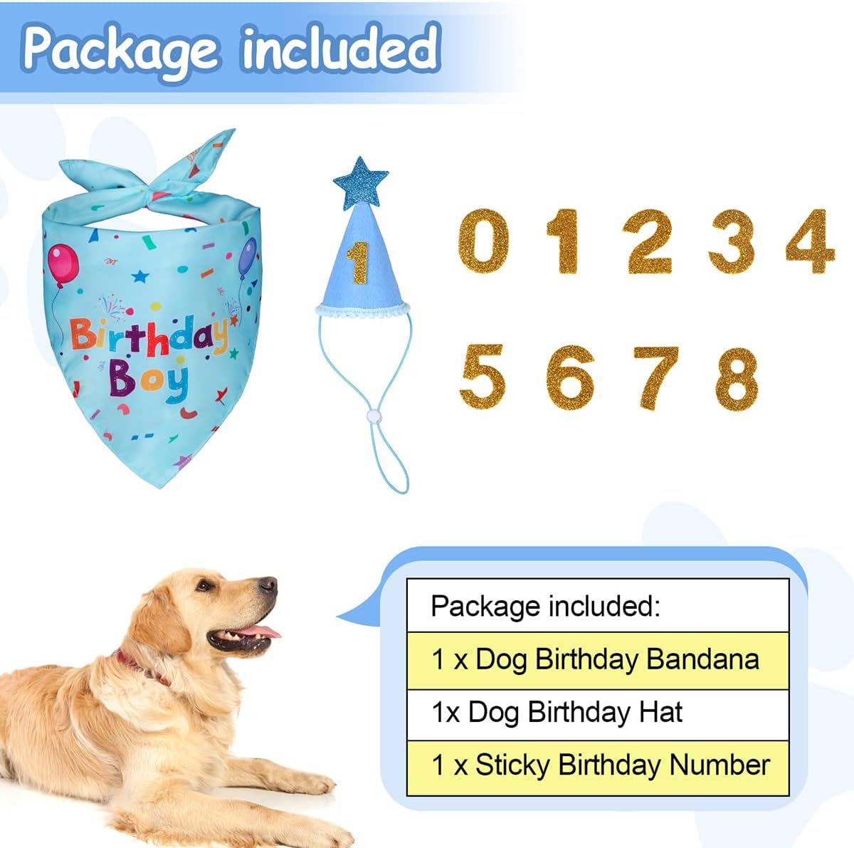 Dog Birthday Bandana and Party Hat Set