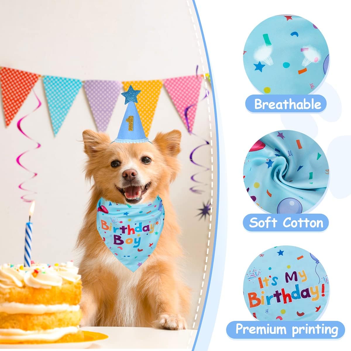 Dog Birthday Bandana and Party Hat Set