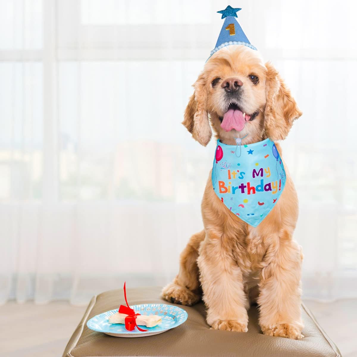 Dog Birthday Bandana and Party Hat Set