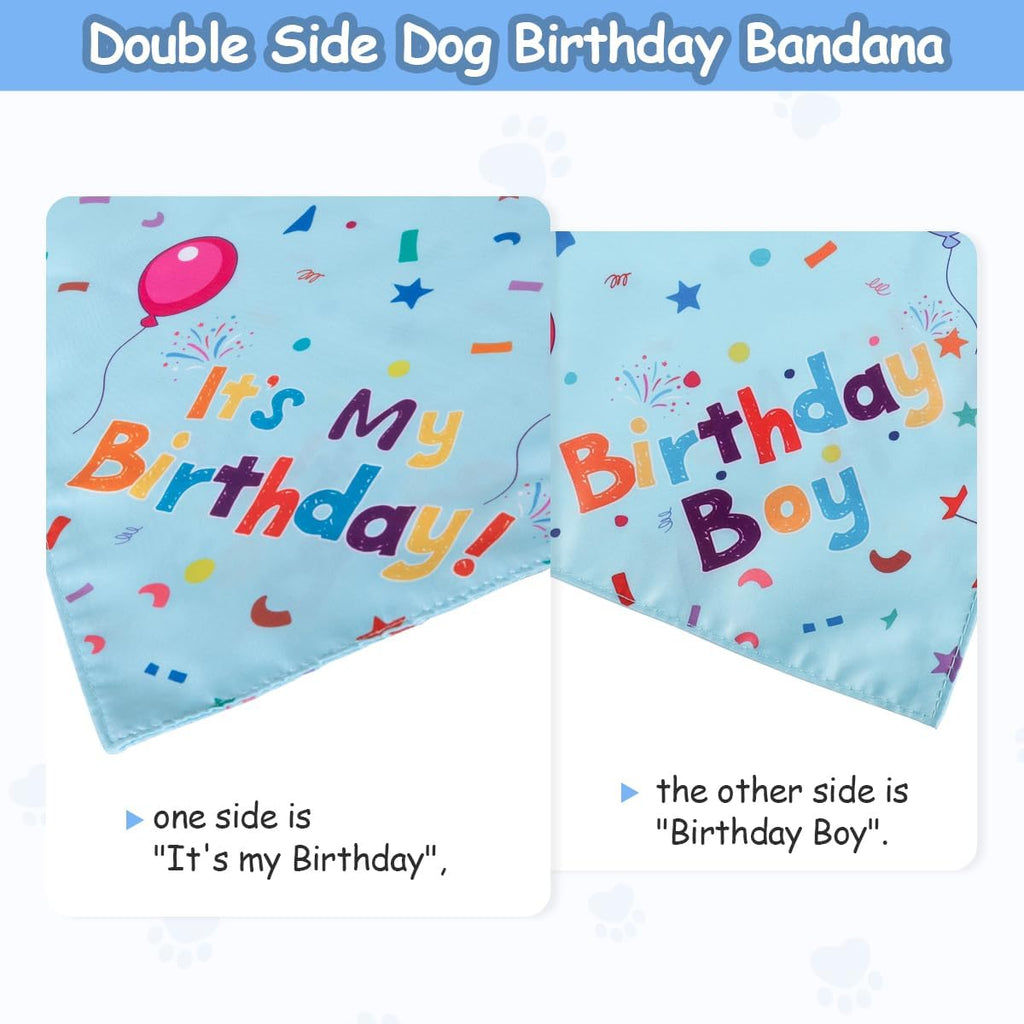 Dog Birthday Bandana and Party Hat Set