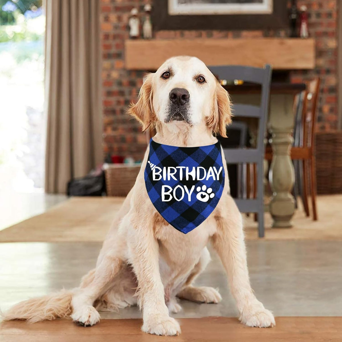 Cotton Birthday Bandana for Dogs