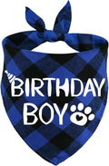 Cotton Birthday Bandana for Dogs