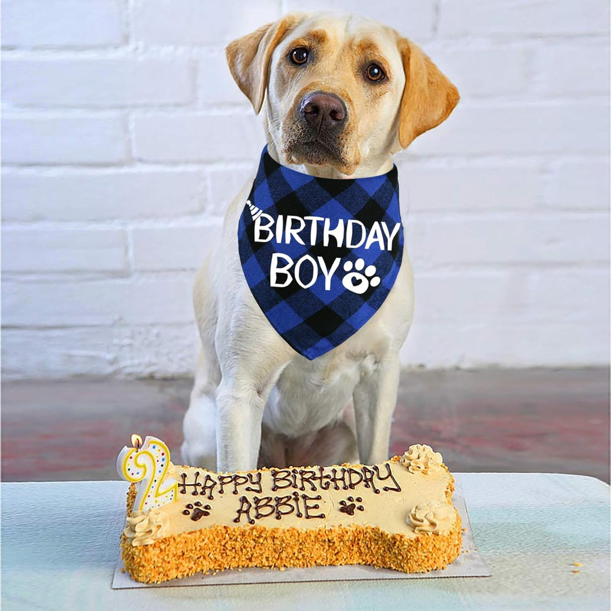 Cotton Birthday Bandana for Dogs