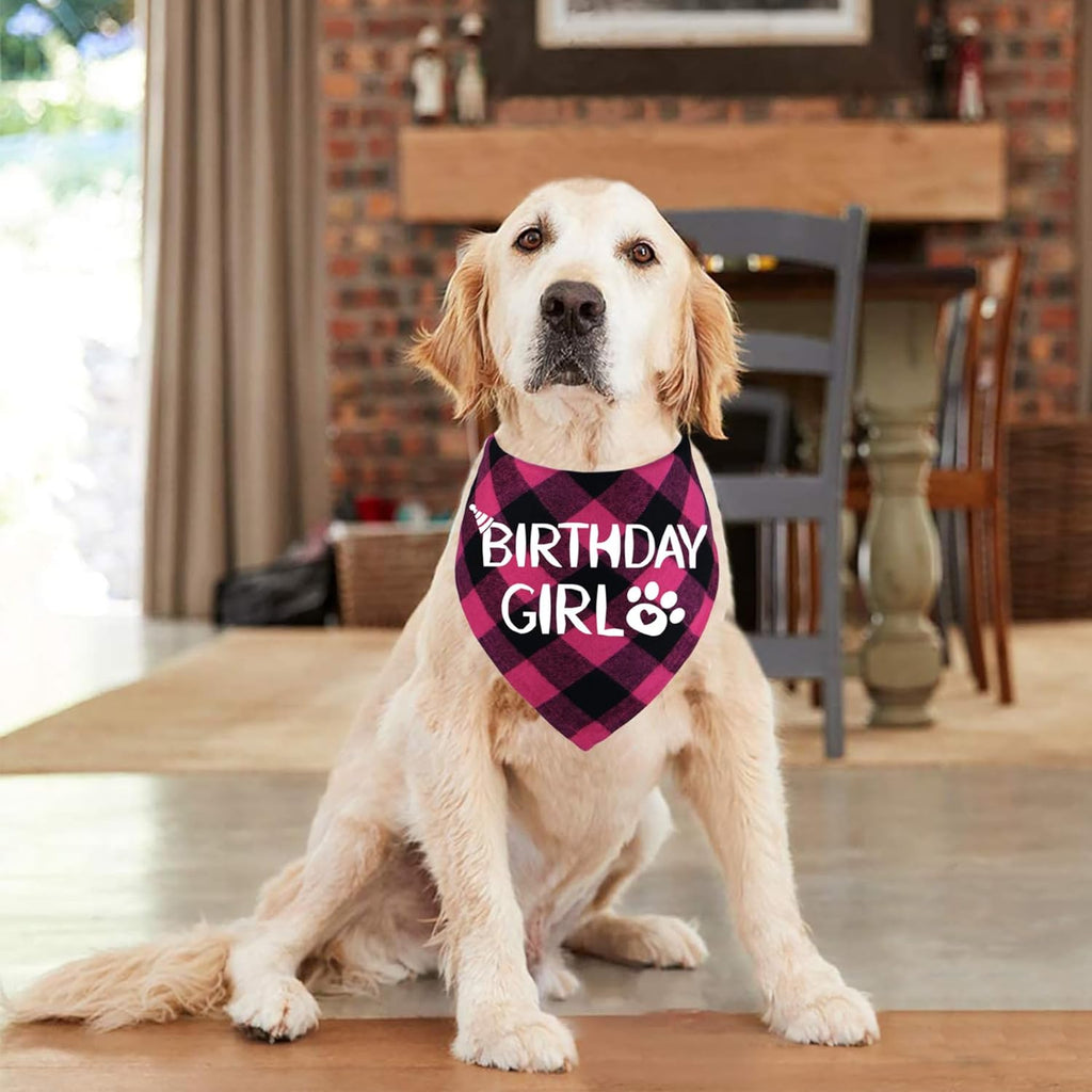 Cotton Birthday Bandana for Dogs