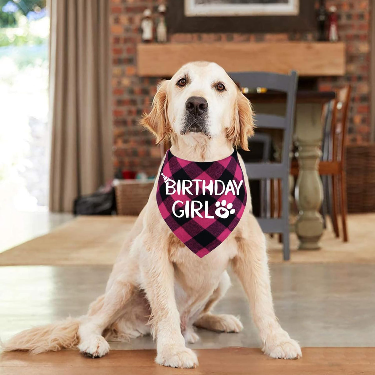 Cotton Birthday Bandana for Dogs