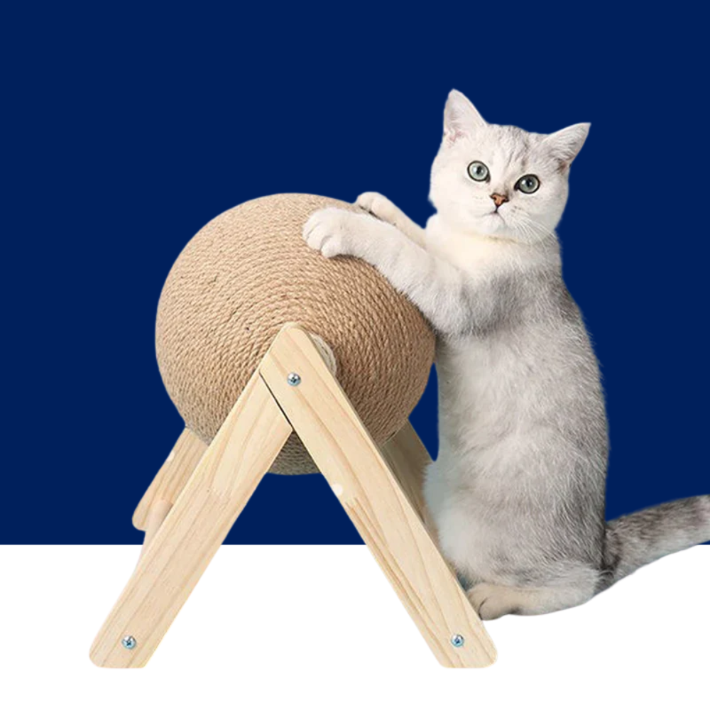Cat Scratching Ball and Paw-Grinding Toy