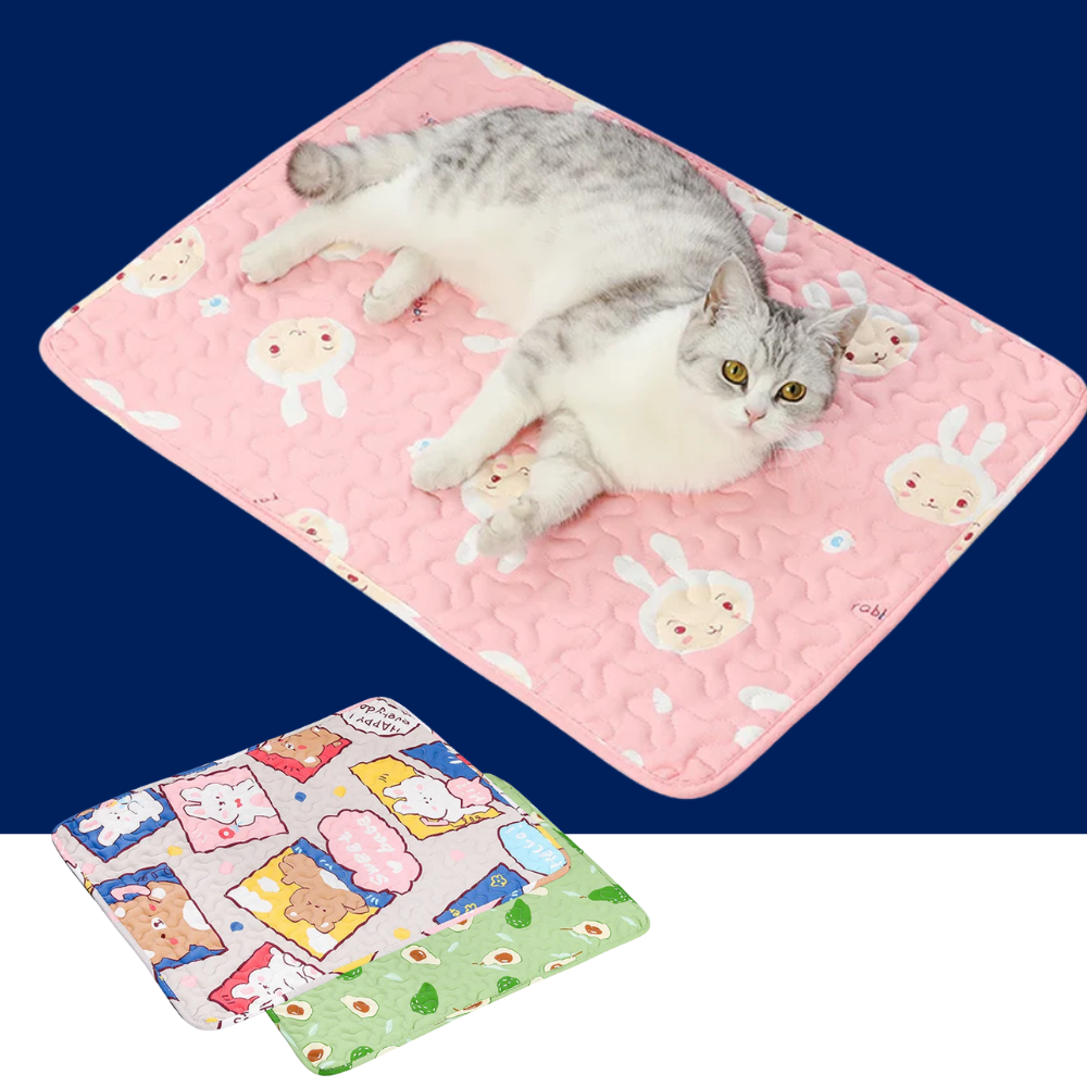 Moisture-Resistant Cooling Pet Sofa Mat