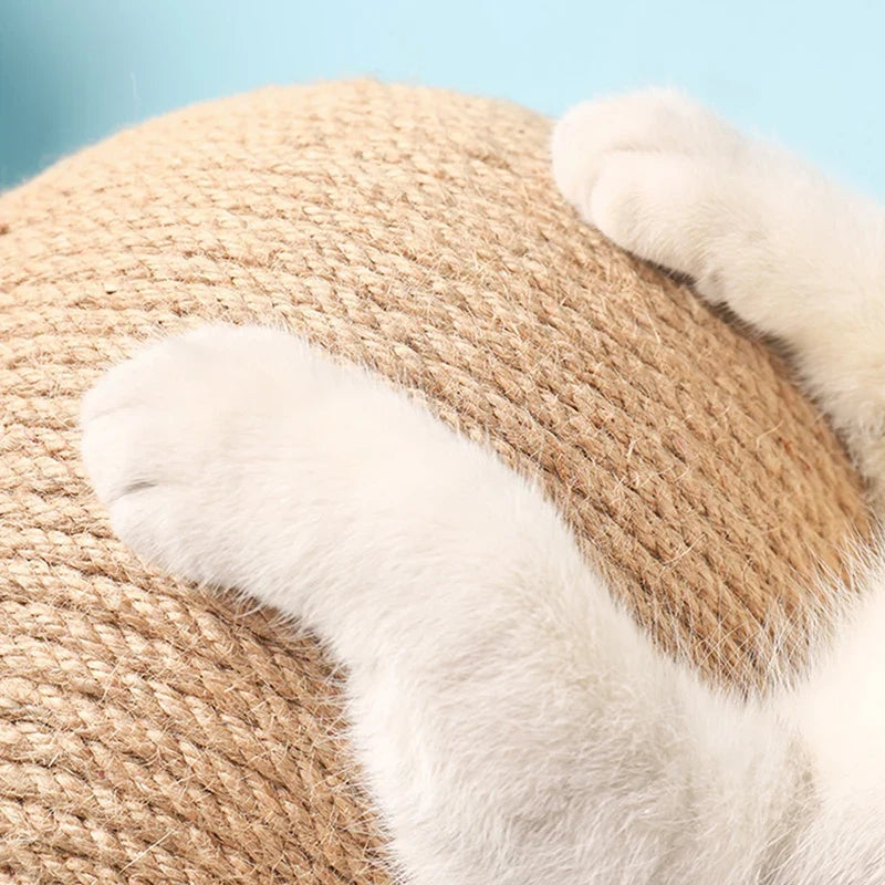 Cat Scratching Ball and Paw-Grinding Toy