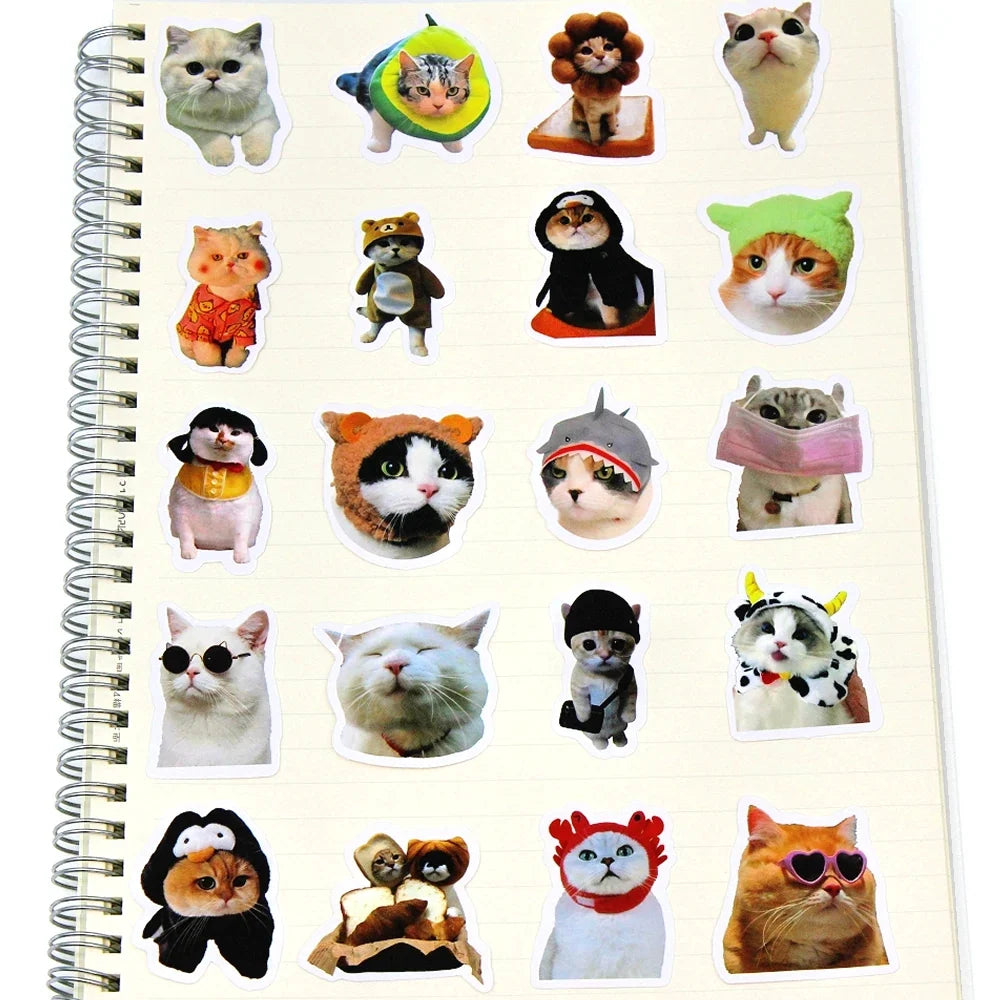 Funny Cat Stickers – Multiple Pack Sizes
