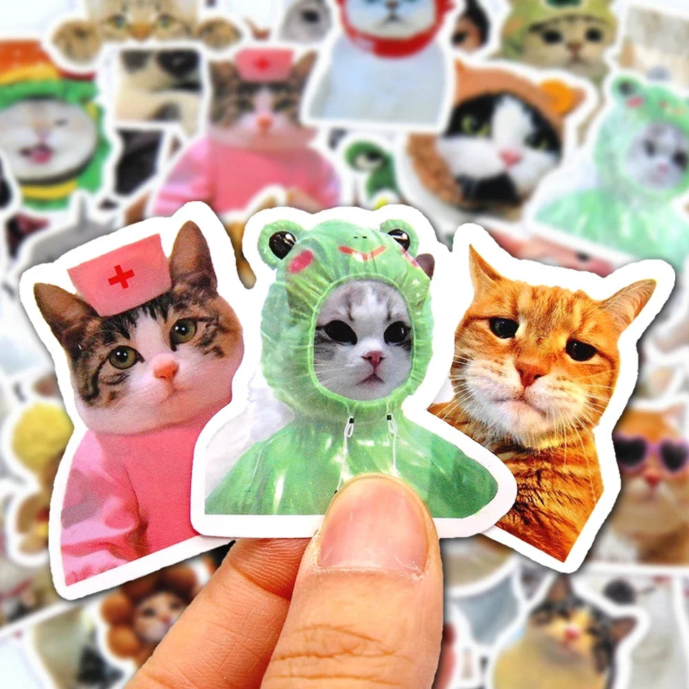 Funny Cat Stickers – Multiple Pack Sizes