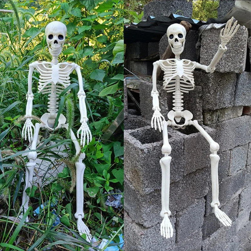Decorative Halloween Skeleton Prop