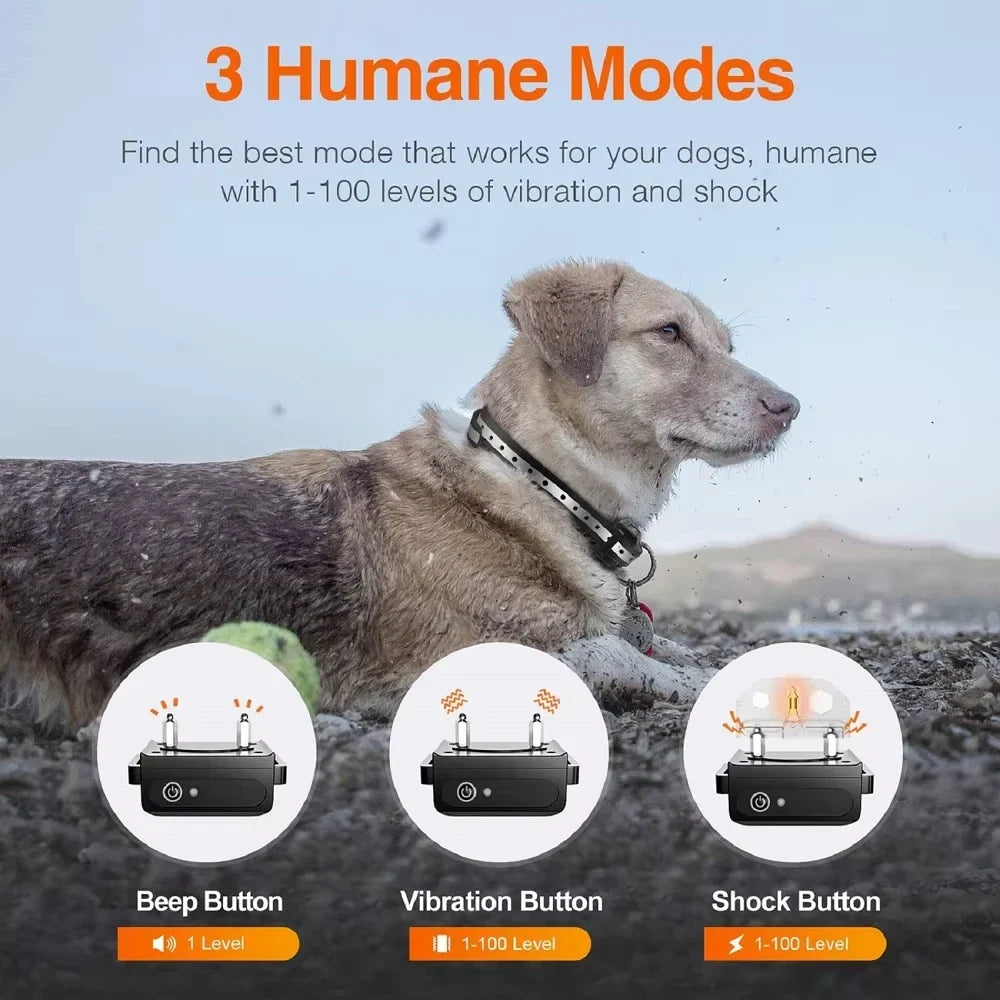 Rechargeable Dog Training Collar with Remote