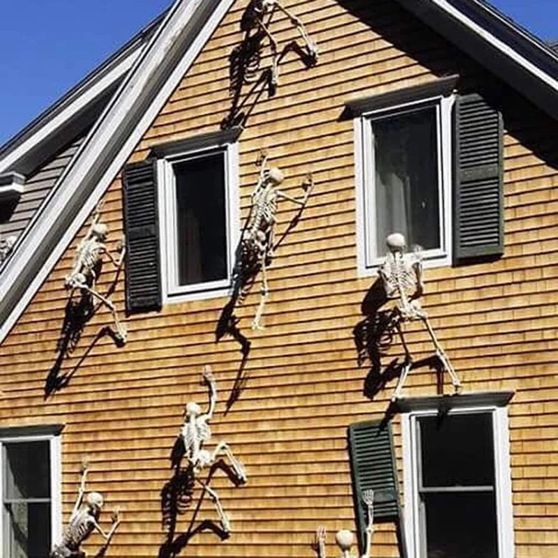Decorative Halloween Skeleton Prop