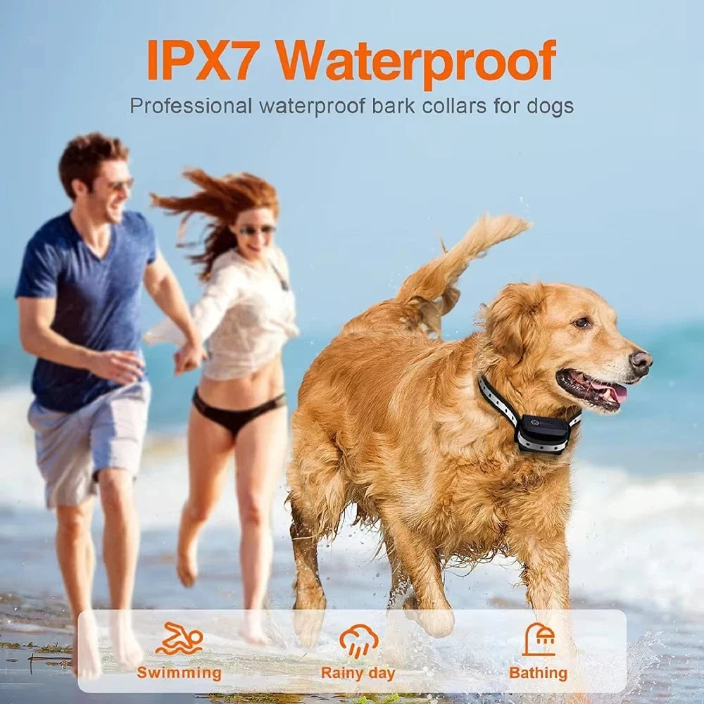 Rechargeable Dog Training Collar with Remote