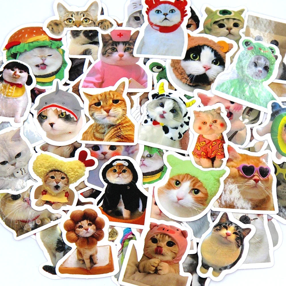 Funny Cat Stickers – Multiple Pack Sizes