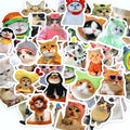 Funny Cat Stickers – Multiple Pack Sizes