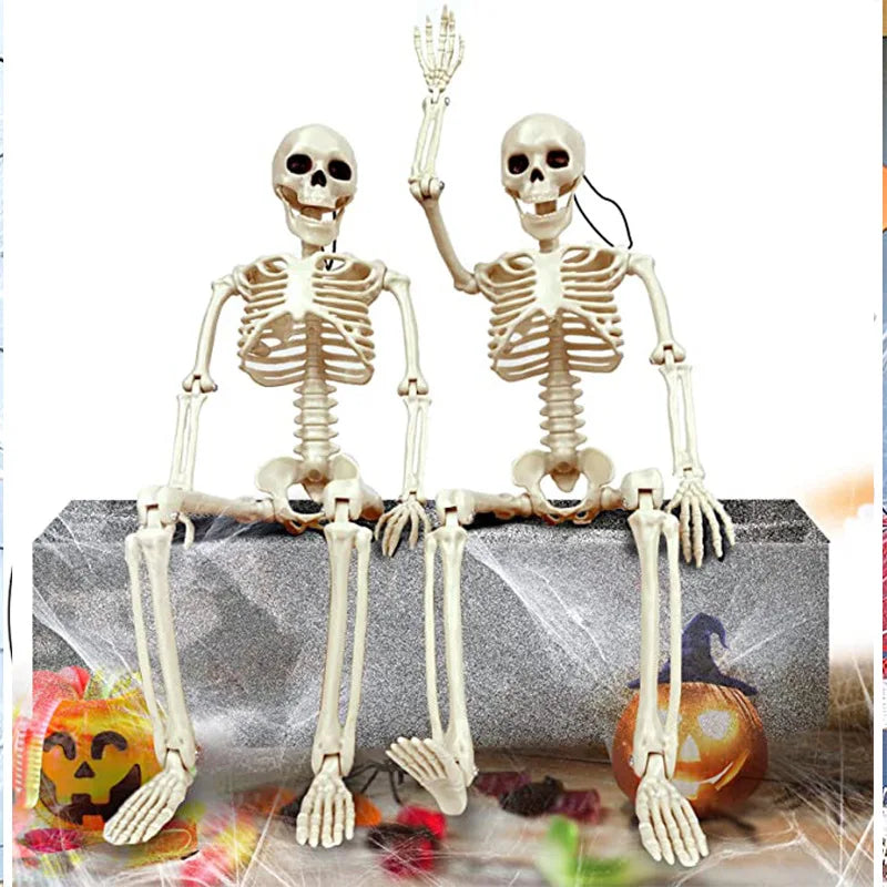 Decorative Halloween Skeleton Prop