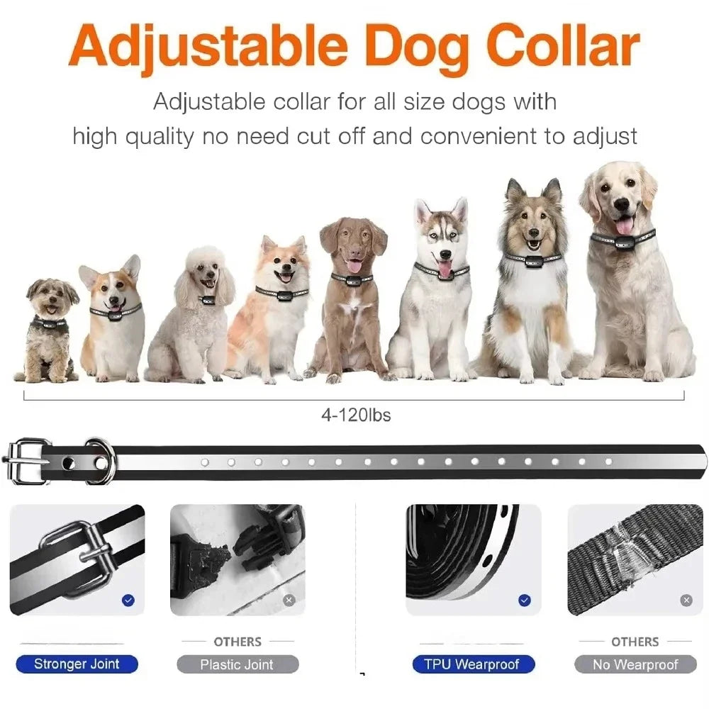 Rechargeable Dog Training Collar with Remote