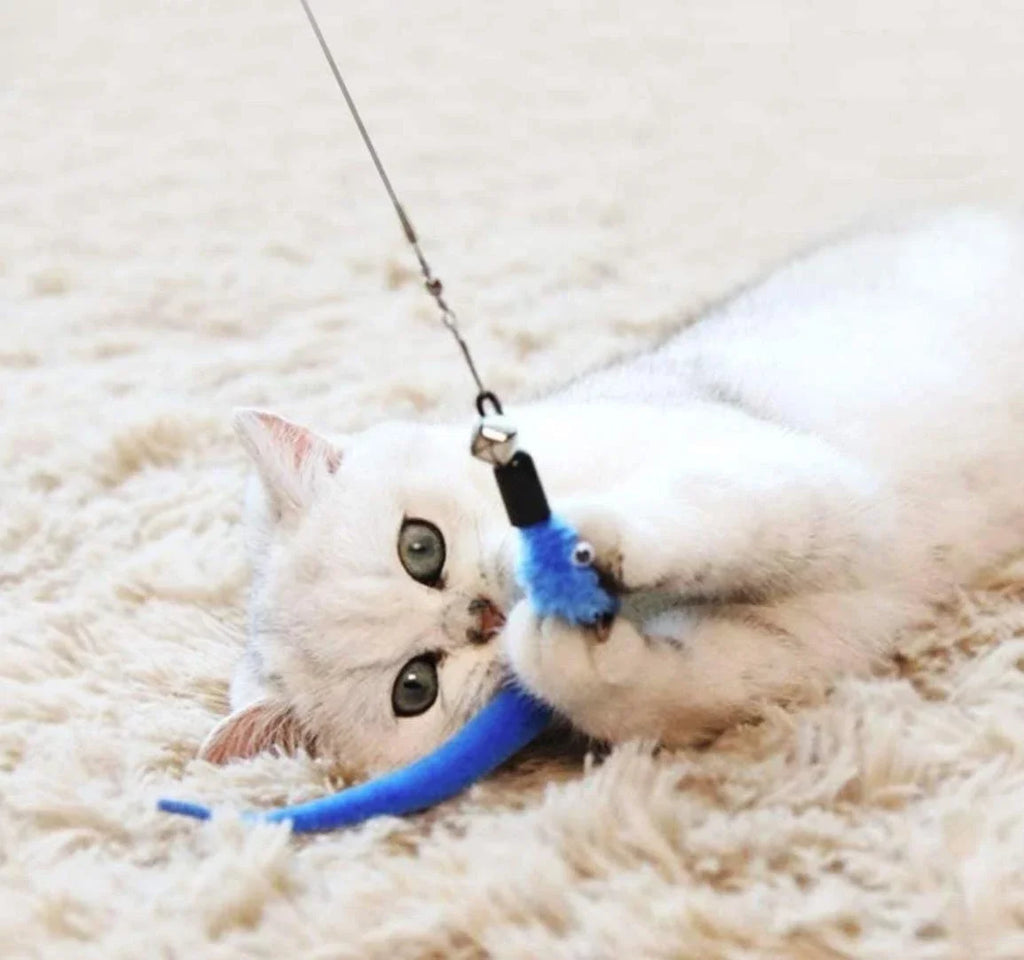 Cat Feather Teaser Toys – 11-Piece Set