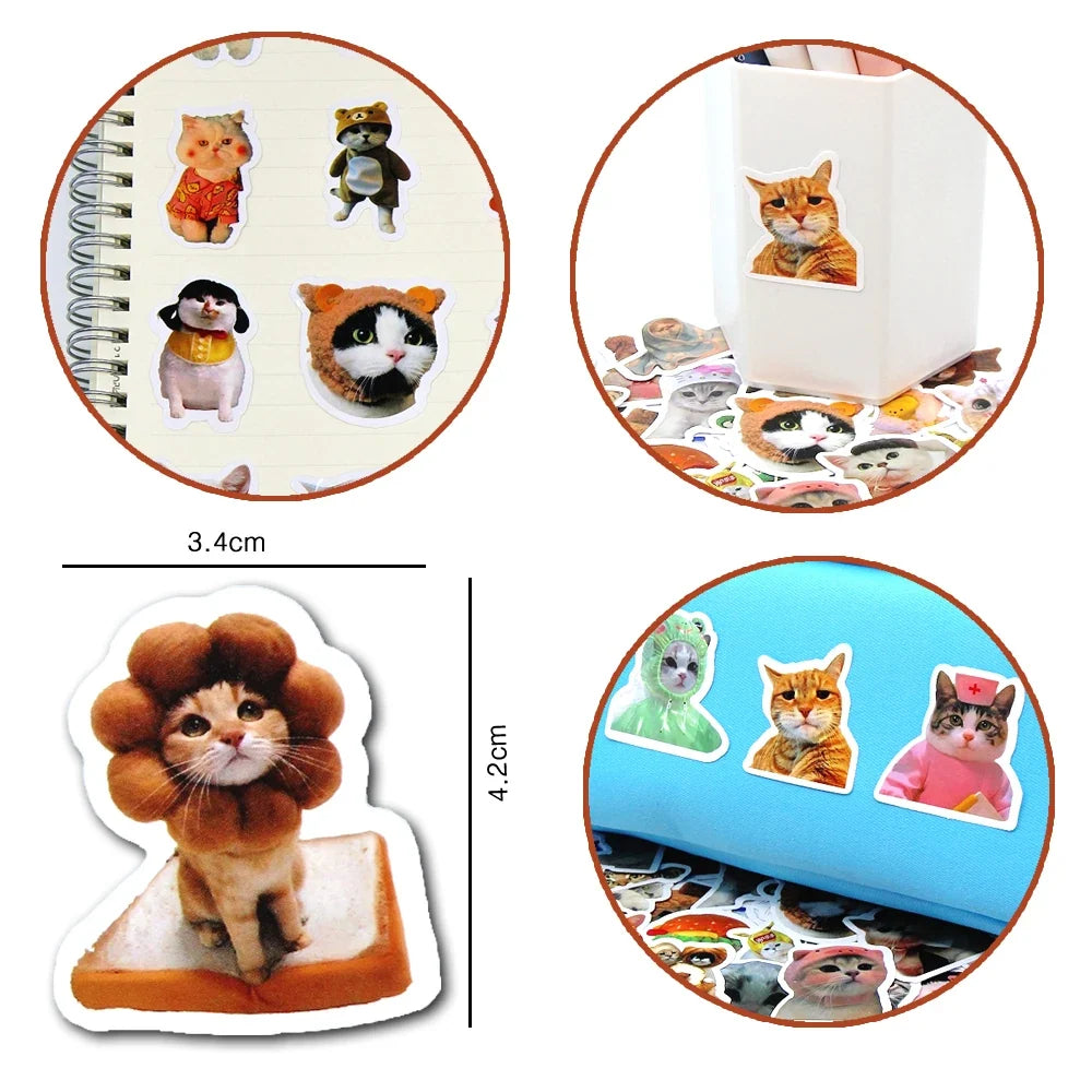 Funny Cat Stickers – Multiple Pack Sizes