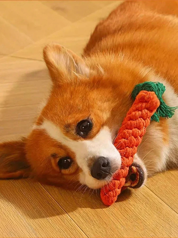Cotton Rope Knot Chew Toy for Dogs