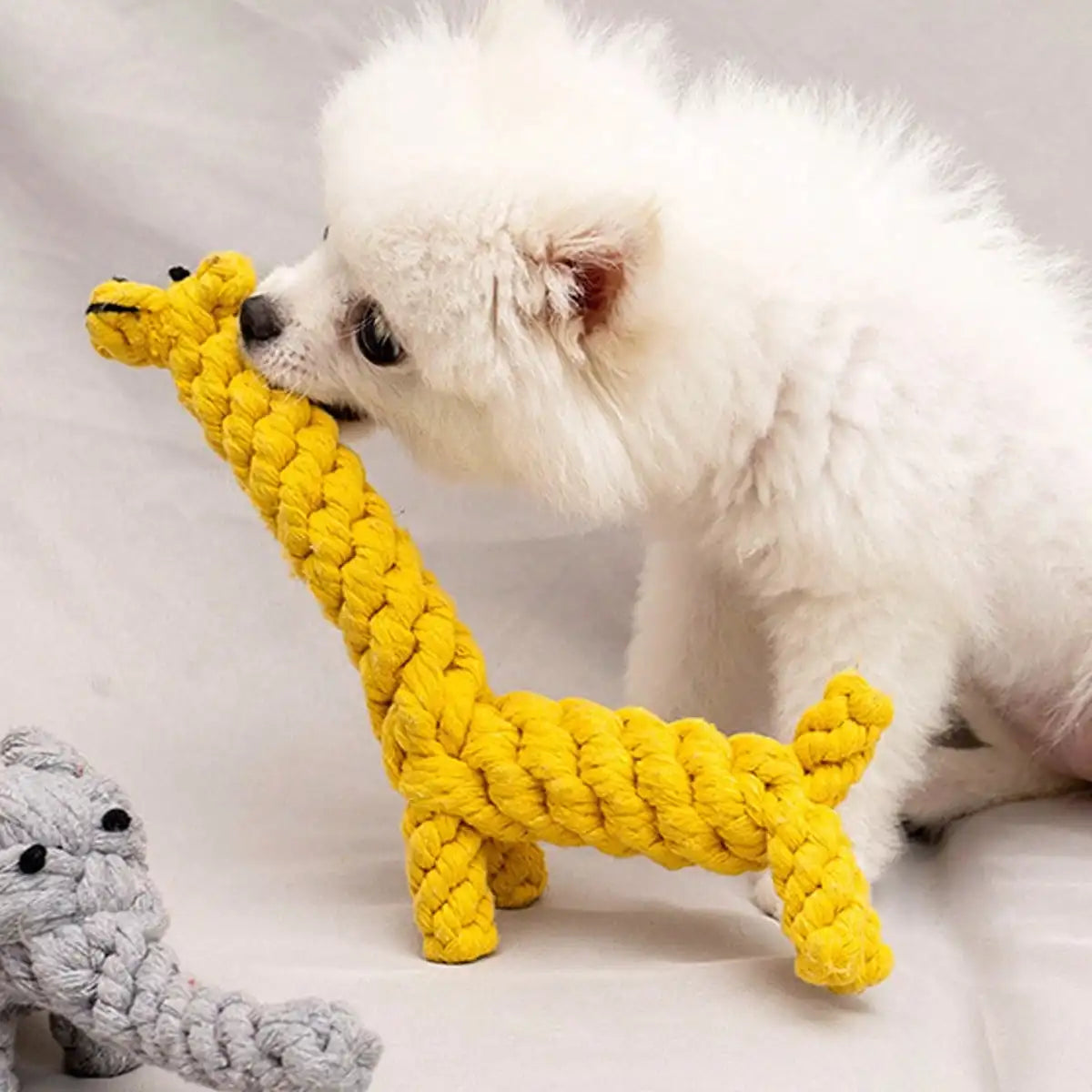 Cotton Rope Knot Chew Toy for Dogs