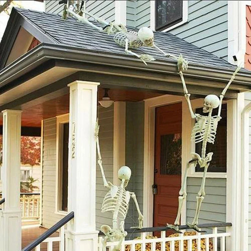 Decorative Halloween Skeleton Prop