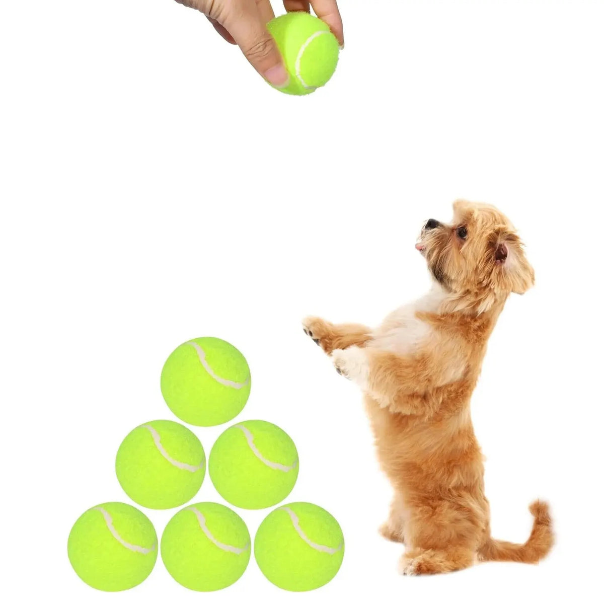 Tennis Balls for Dogs – 2-Inch Small Dog Balls Compatible with Automatic Ball Launchers (12 Pack)