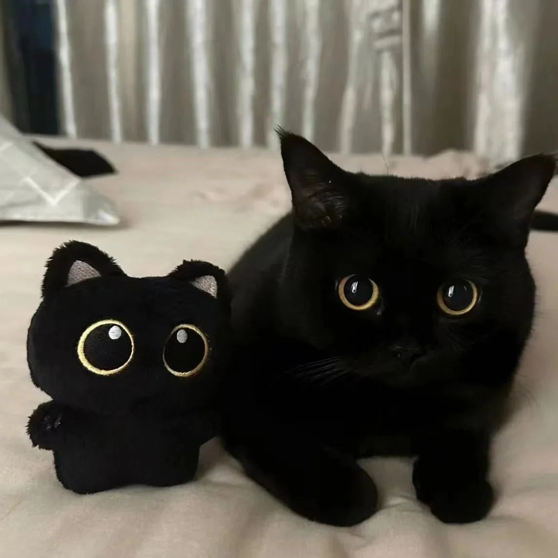 Black Cat Plush Keychain