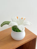 Flowers Hand-Knitted Lily Potted Delicate Crochet Woven Flowers Pot Mother's Day Gift
