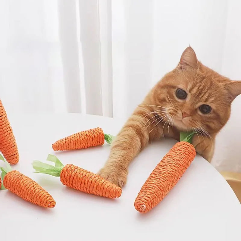Sound Carrot Cat Toy | Teething & Anti-Bite Cuddle Stick for Cats