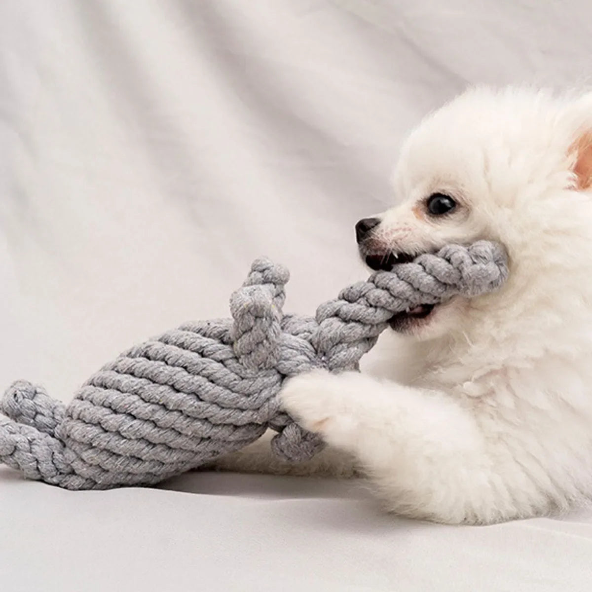 Cotton Rope Knot Chew Toy for Dogs