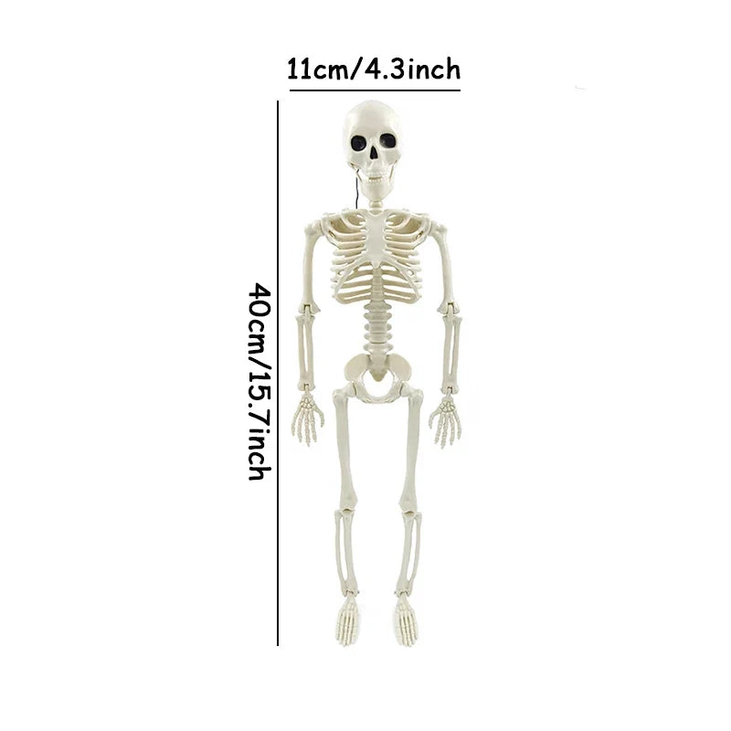 Decorative Halloween Skeleton Prop