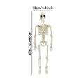 Decorative Halloween Skeleton Prop