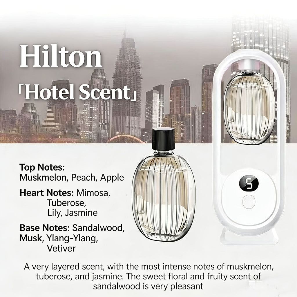 Aromatherapy Diffuser Humidifier with Essential Oils